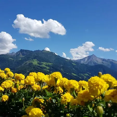 Apartament Haus Jeannette